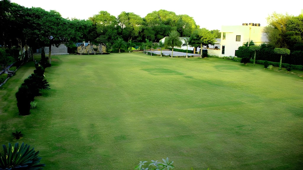 Green Lawn